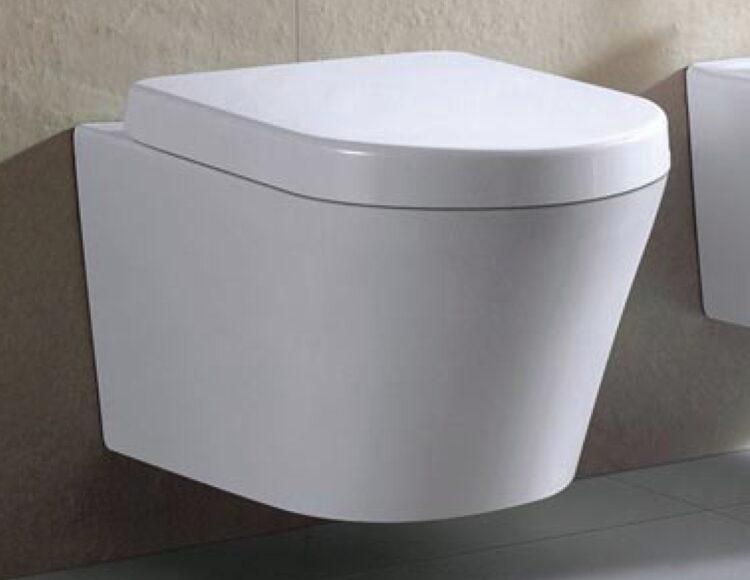 Wandcloset Easy Flush 55 met softclose zitting - Afbeelding 6