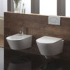 Complete set closet en bidet